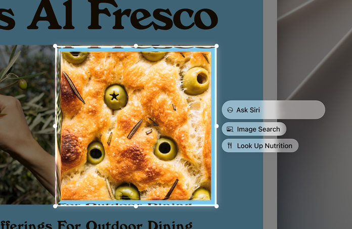 Screenshot of food, with an Ask Siri bubble giving the option to search for the image or find its nutritional value
