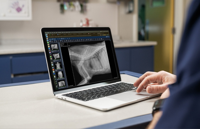 Yksityiskohtaiset röntgen- ja ultraäänikuvat näkyvät reaaliajassa MacBook Airissa.